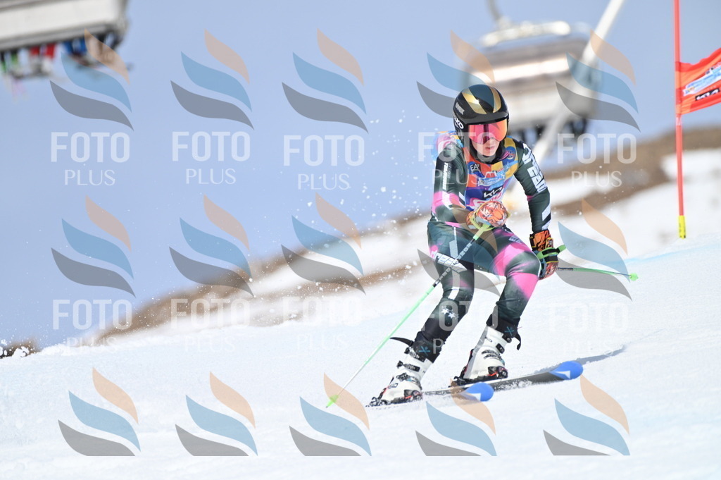 BGV_3432 | holidayphoto