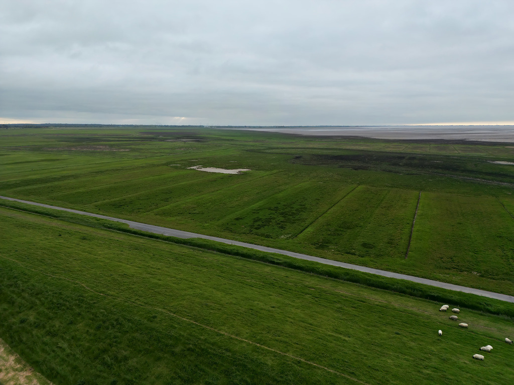 Bild 5 | naturepictures1332 - Realisiert mit Pictrs.com