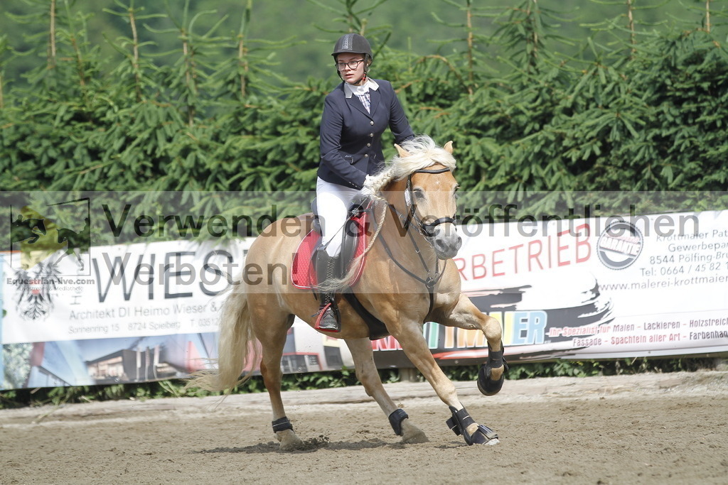 _MG_4514 | equestrian-live-com