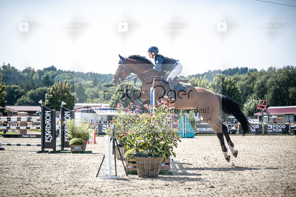 DOS_6998 | Entdecke hochwertige Reitturnierfotos von Foto Oger. Professionell, emotional und authentisch – jetzt Lieblingsmomente im Shop bestellen. - Realisiert mit Pictrs.com