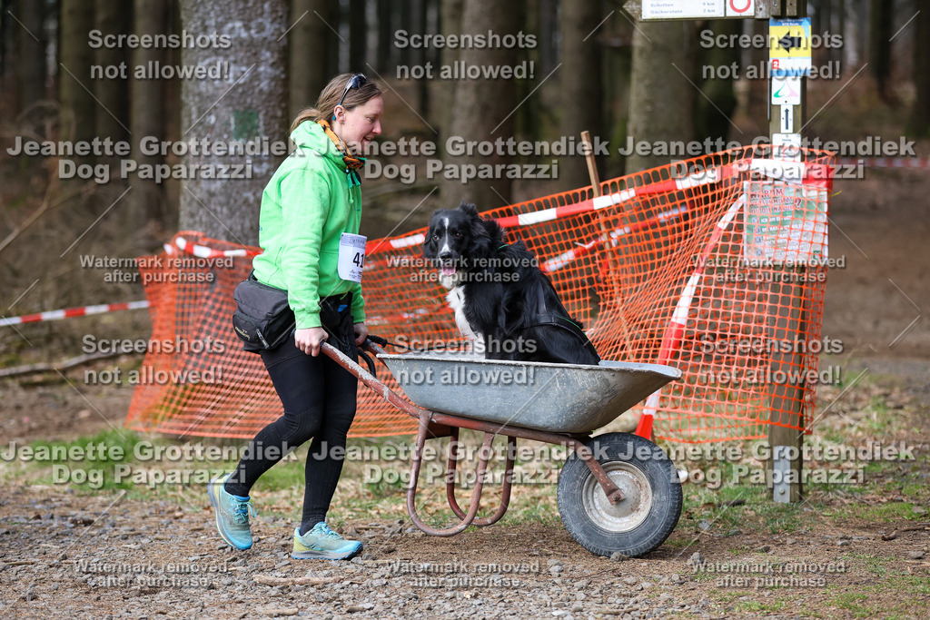 Dog Paparazzi - VCC26-781 | Dog Paparazzi Jeanette Grottendiek Fotografie & Videografie - Realisiert mit Pictrs.com