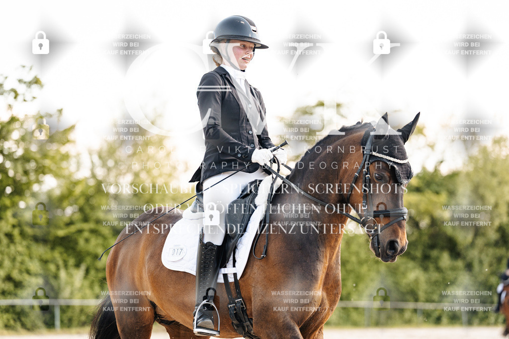 CK909565 | Turnierfotografie Pferdefotografie Trier Rheinland-Pfalz Pferdesport Reitsport Tierfotografie Sportfotografie Pferdevideo Pferdevideografie Equestrianvideography equestrianphotography  - Realisiert mit Pictrs.com