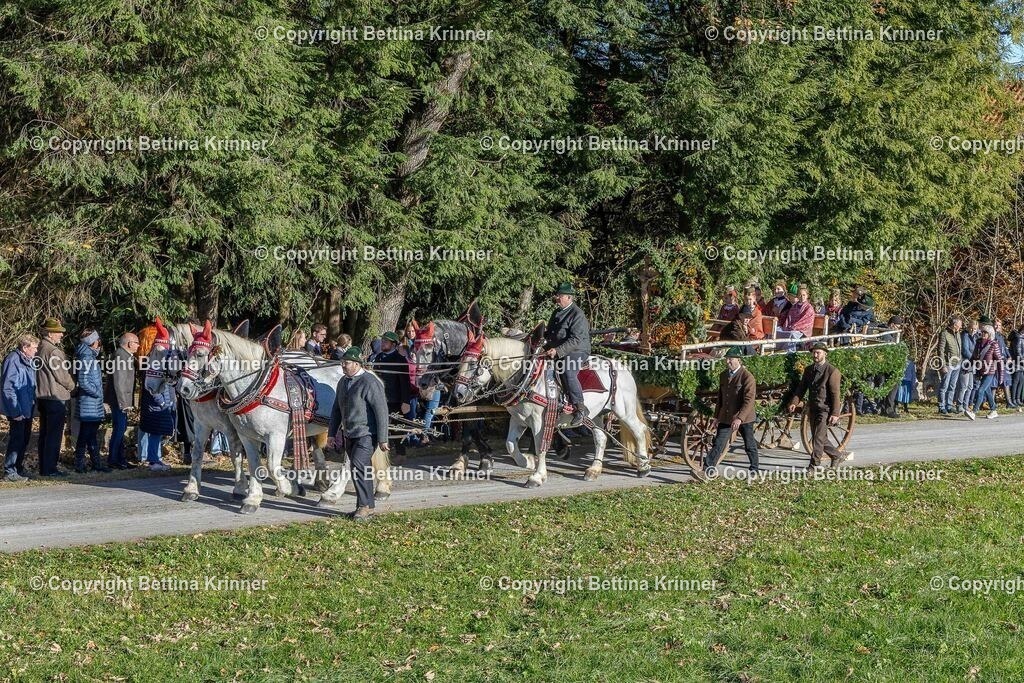 LBT25-591 | foto-bettina-krinner - Realisiert mit Pictrs.com