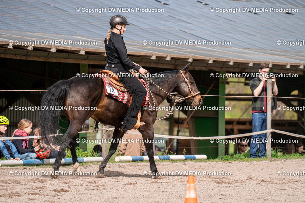 BAL02543 | dv-media-shop - Realisiert mit Pictrs.com