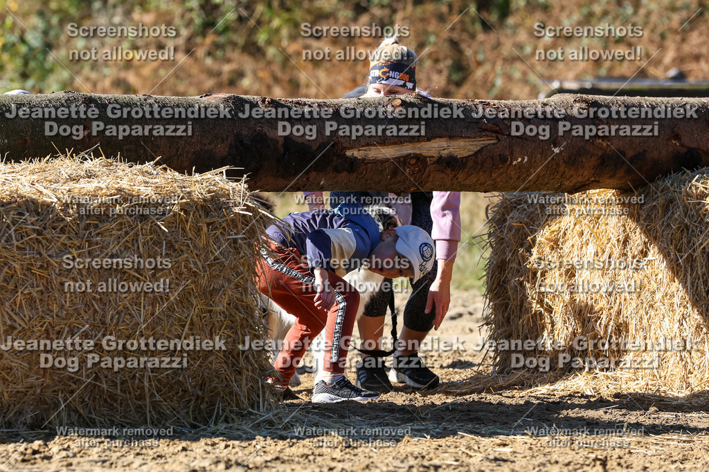 Dog Paparazzi - Strongdog 10-25-2717 | Dog Paparazzi Jeanette Grottendiek Fotografie & Videografie - Realisiert mit Pictrs.com