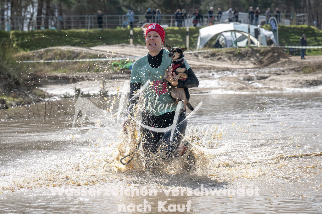 1156_ZZ91125-Bearbeitet | kk-dogfotos