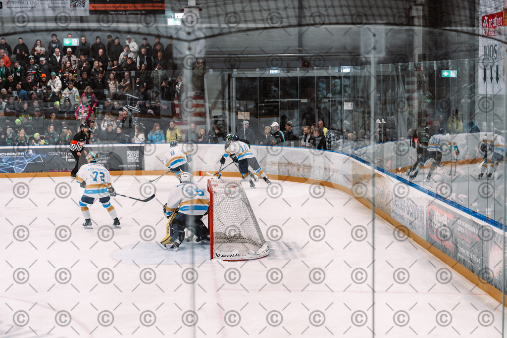 Alligators_vs_Stuttgart_16_11_2025-62 | Höchstadt Alligators Fotogalerie: Eishockey-Action aus Franken. Professionelle Spielfotos, Portraits & Stadionbilder zum Download. Jetzt entdecken! - Realisiert mit Pictrs.com