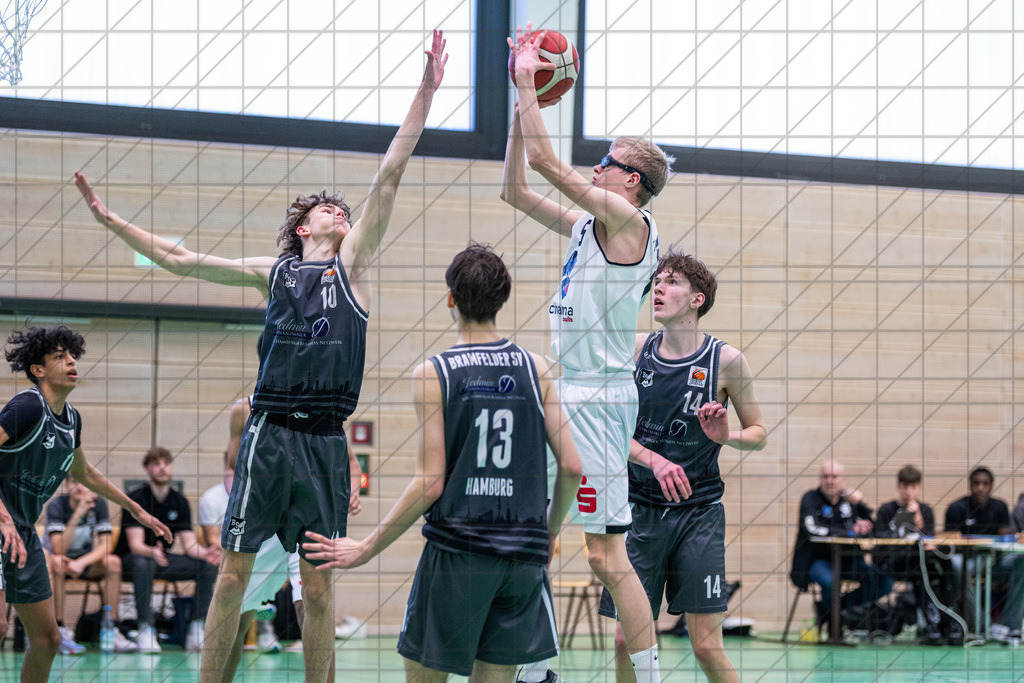 JBBL 24/25 | 02.02.2025 | Charisma Young Bulls vs. Bramfelder SV  | JBBL 24/25 | 02.02.2025 | Charisma Young Bulls vs. Bramfelder SV - - - - - CREDIT, www.bullenfotos.de, Martin König, Hörner Weg 40, D-49078 Osnabrück, +4917663732967, Nutzung und Weitergabe nur zu den vereinbarten Zwecken. Presseanfragen an Urheber. Alle Rechte beim Urheber. - - - - - - Realisiert mit Pictrs.com
