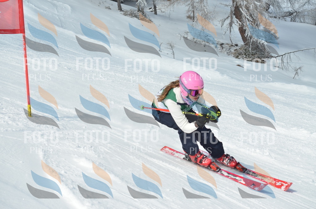 D8897 | holidayphoto