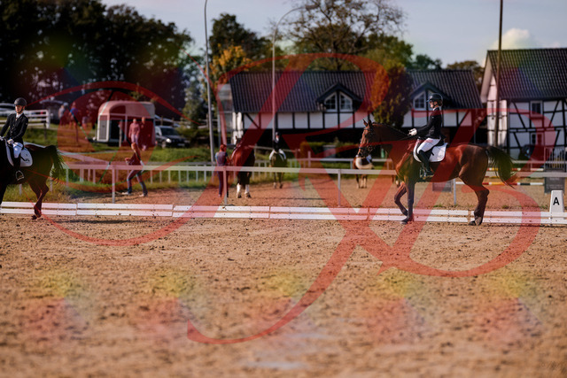 2026_10_03_Siefer-Hof_130852_Z81_62238364 | Professionelle Reitsport-, Turnier- und Eventfotografie von Robert Broda. Galerien mit ausgewählten und bearbeiteten Bildern direkt online ansehen und bestellen.
