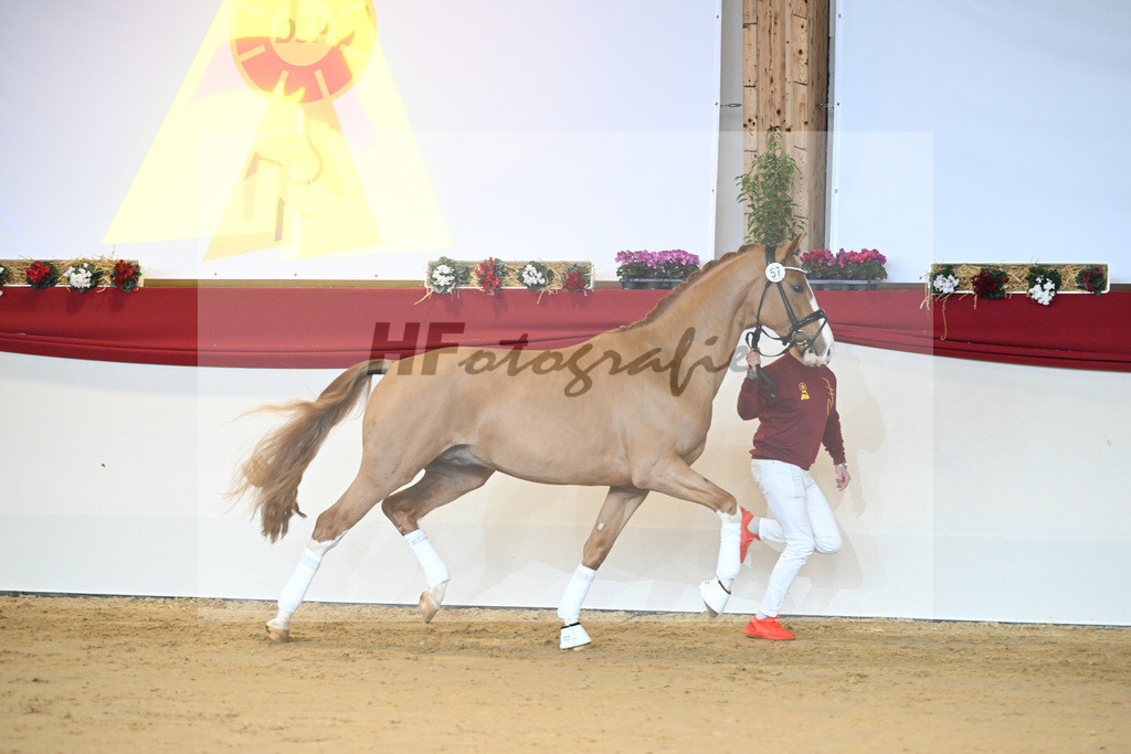 Kat-Nr. 57 Fuerst Samarant_Beckmann_1231428 | hf-fotografie - Realisiert mit Pictrs.com