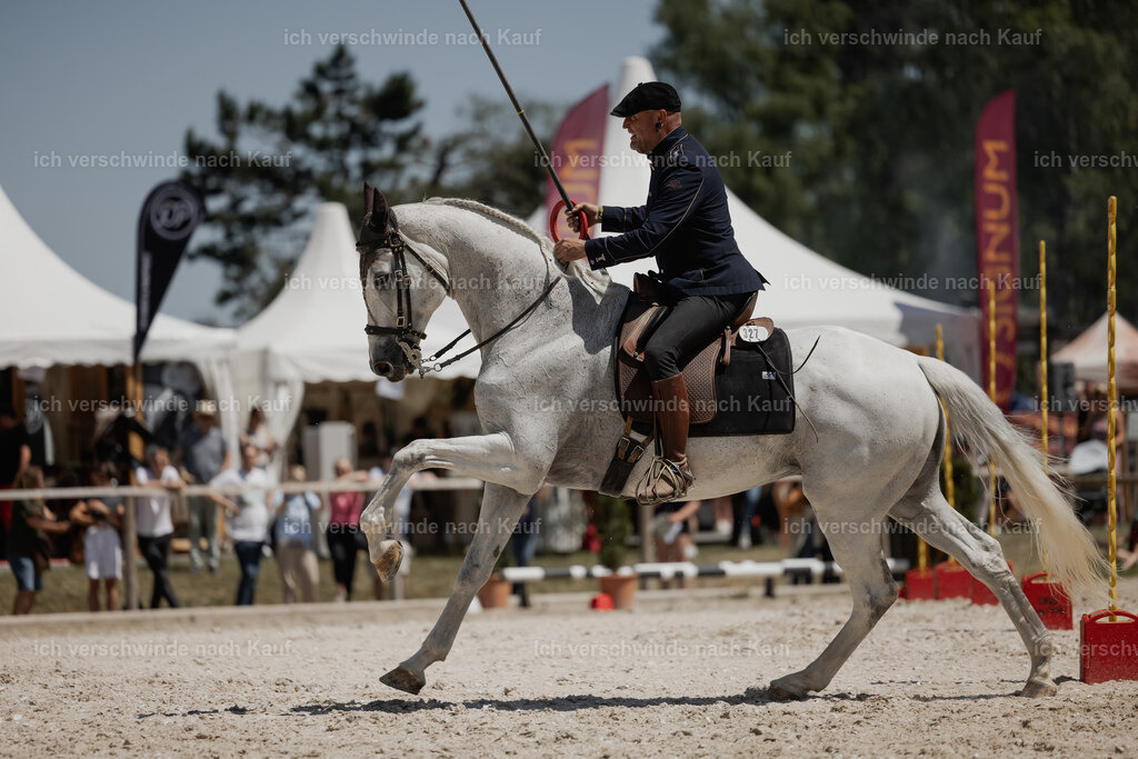 WE_SP_Stoib_327_PI2025_1928 | Pferd International München 2025