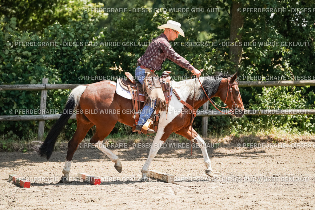 DSC07467 | Pferdegrafie