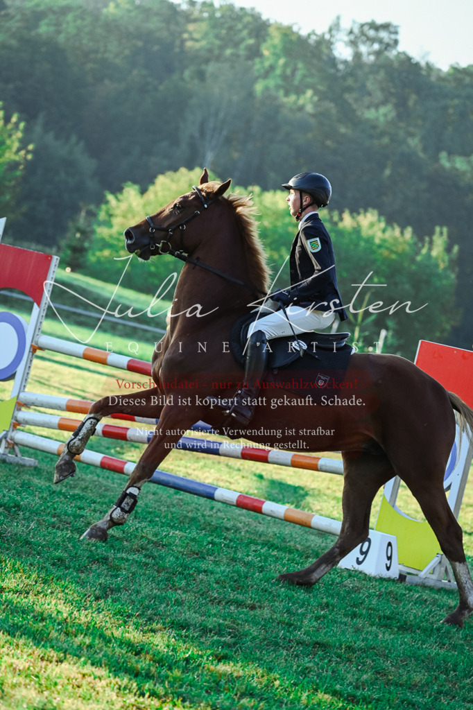 DSC_3759 | Pferde- und Turnierfotografie in Westsachsen. Pferdeportraits, Auftragszeichnungen und intuitive Kunst.