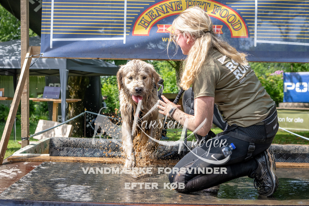 1058_ZZ92260 | kk-dogfotos