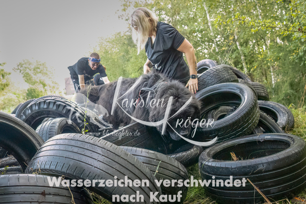 1045_ZZ90430-Bearbeitet-2 | kk-dogfotos