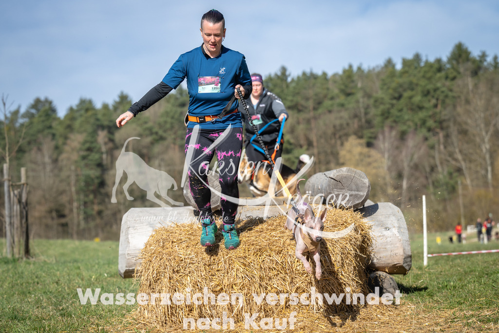 1011_ZZ99370 | kk-dogfotos