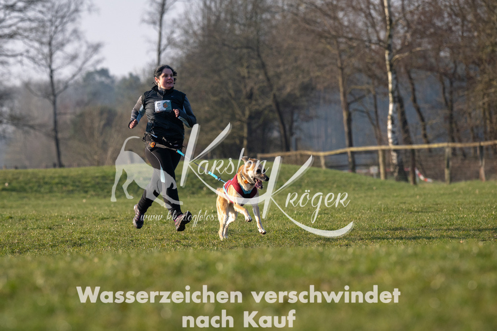 _ZZ92466 | kk-dogfotos