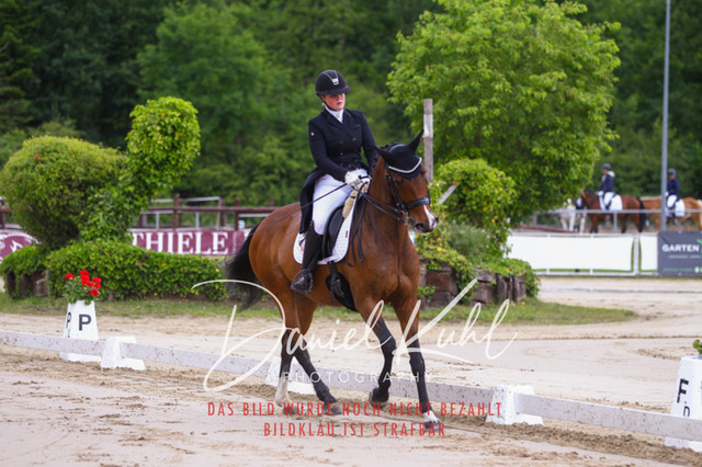 DKP47865 | Turnierfotos kaufen im Webshop von Daniel Kuhl Photography – entdecke professionelle Reitsportfotos aus Turnieren & Events. Hochwertige Turnierbilder online bestellen & sichern. Jetzt Fotos von Reitsportturnieren kaufen!