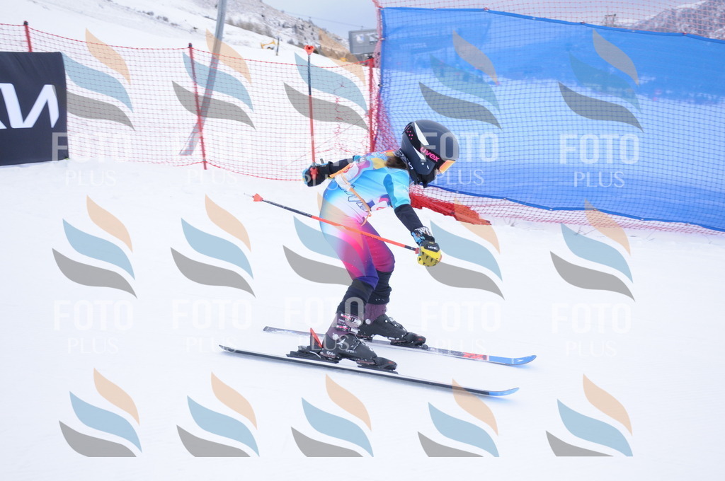 DSC_7918 | holidayphoto