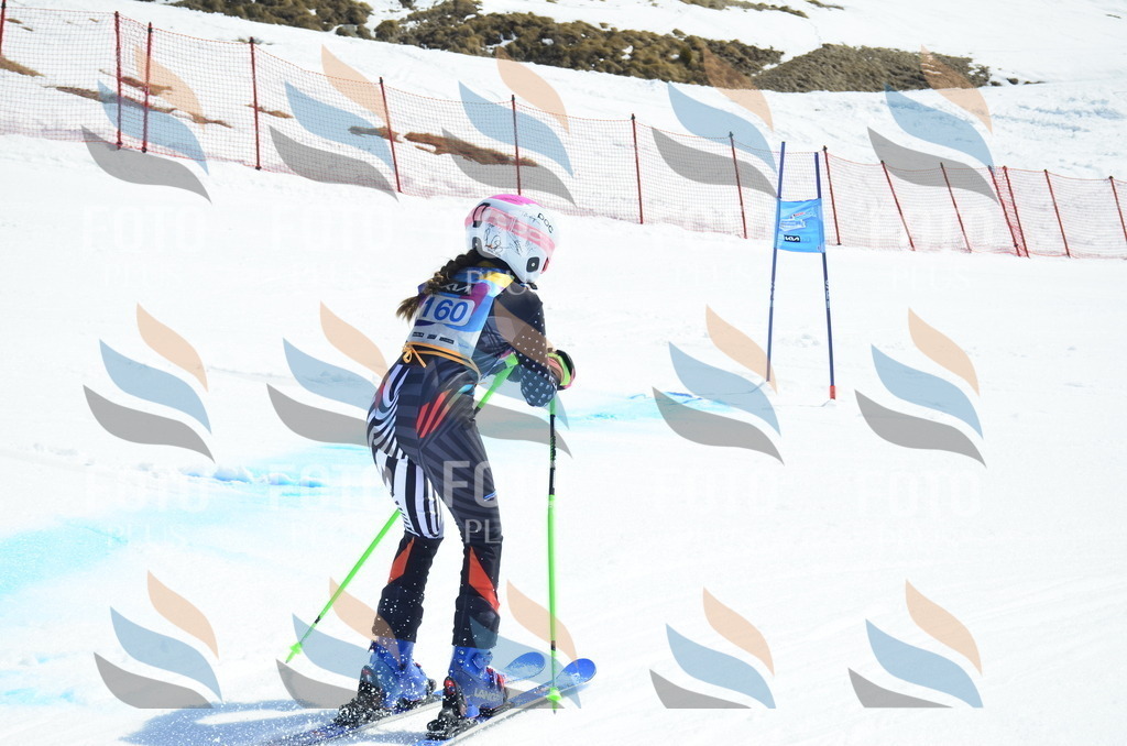 _ELE1074 | holidayphoto