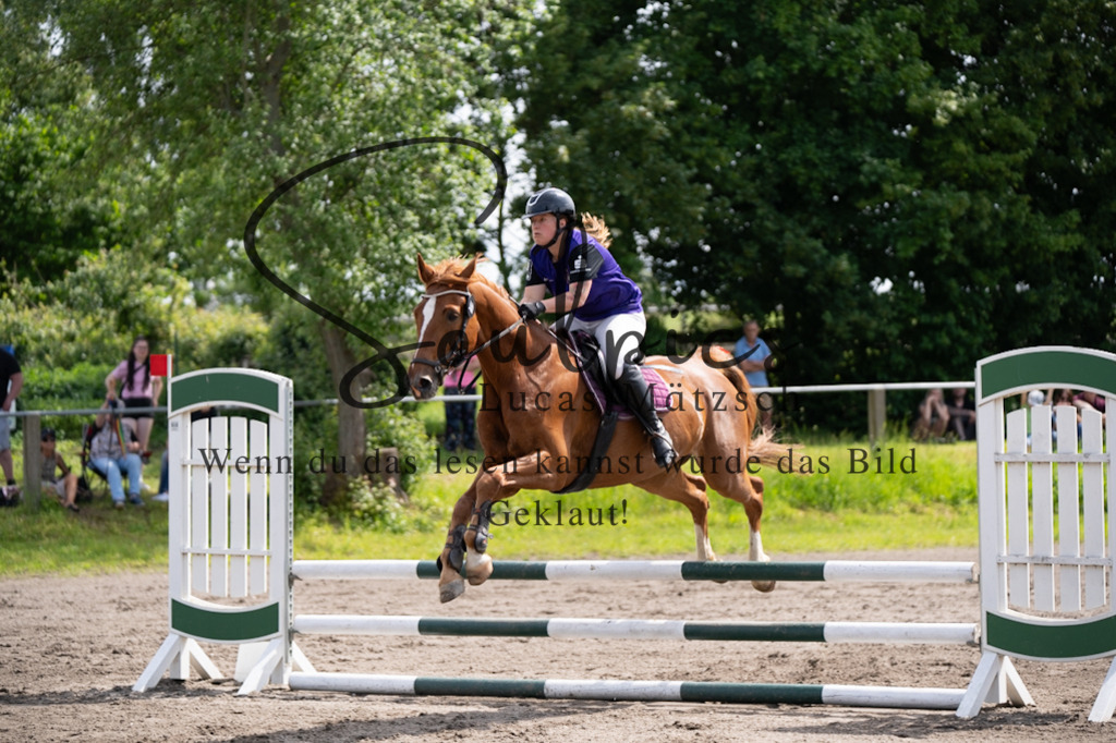 A7V04721 | Pferdefotograf