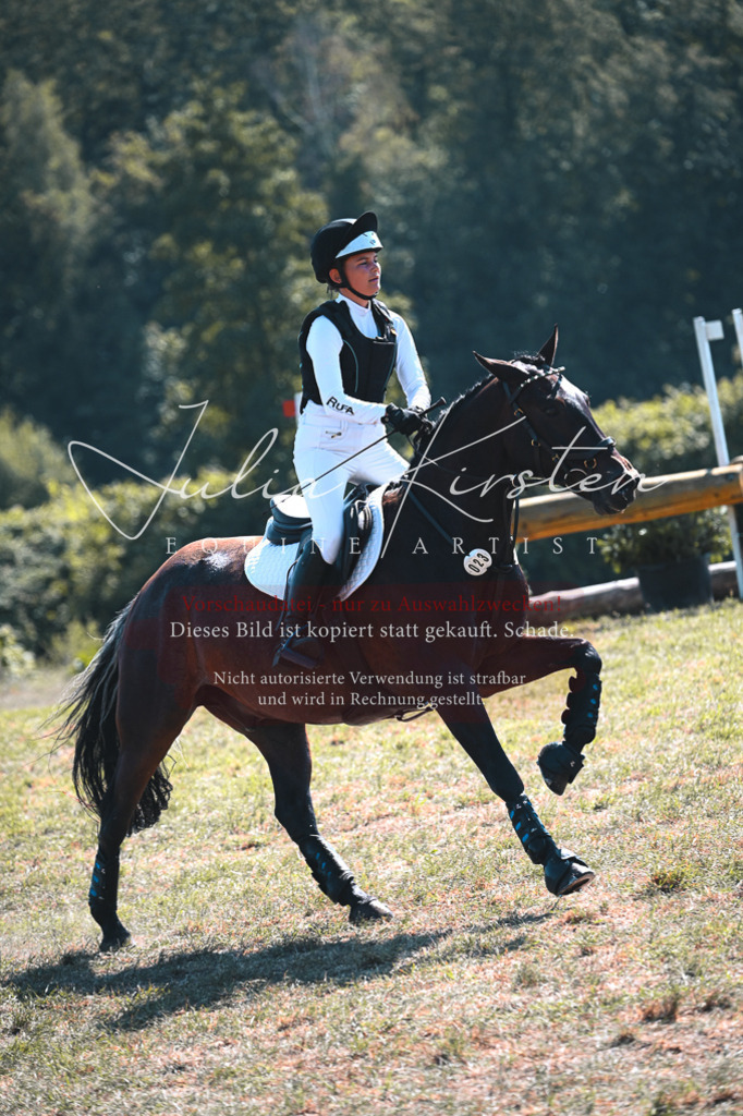 DSC_8218 | Pferde- und Turnierfotografie in Westsachsen. Pferdeportraits, Auftragszeichnungen und intuitive Kunst.
