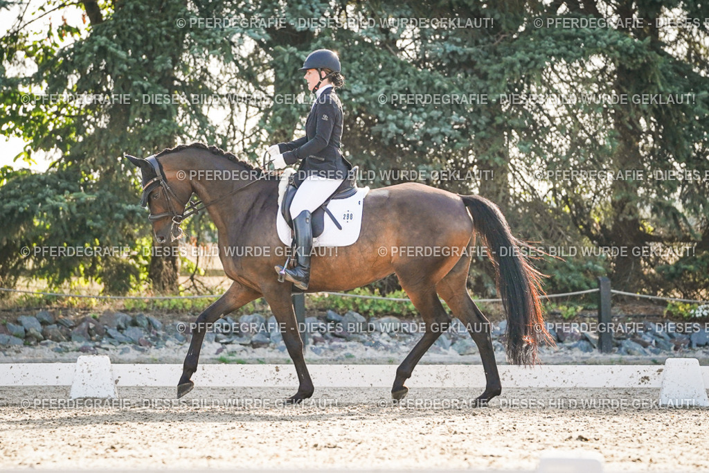 DSC08185 | Pferdegrafie