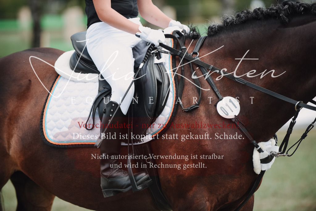 DSC_5718 | Pferde- und Turnierfotografie in Westsachsen. Pferdeportraits, Auftragszeichnungen und intuitive Kunst.