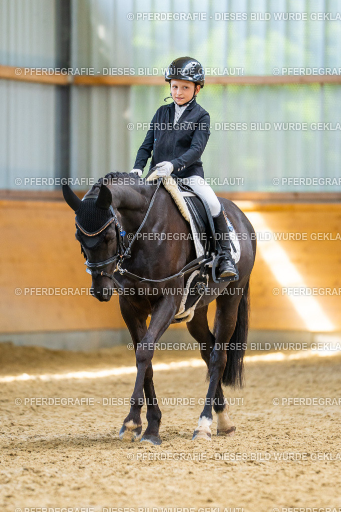 DSC08919 | Pferdegrafie