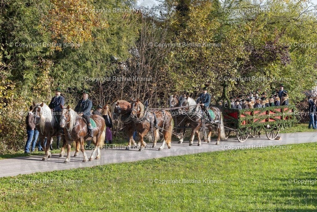 LBT24-145 | Professionelle Fotografin mit Fachgeschäft in Lenggries & im Landkreis Bad Tölz Wolfratshausen. Hochzeitsreportage, Familienfotos, Newborn-, Babybauch-, Pass- & Businessfotos.Alles Rund ums Foto