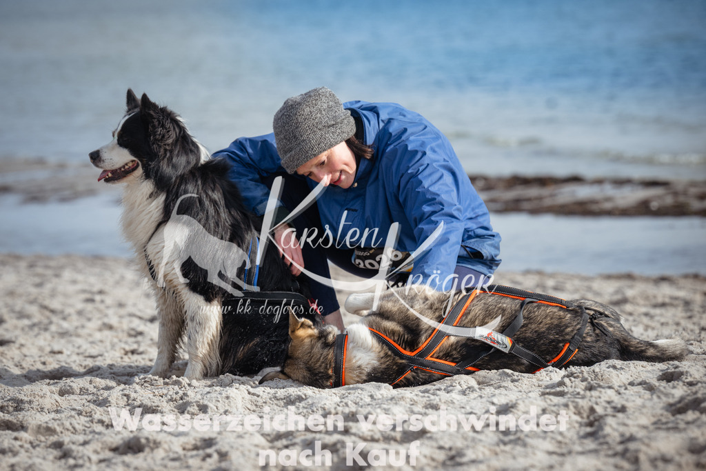 1240_ZZ98086 | kk-dogfotos