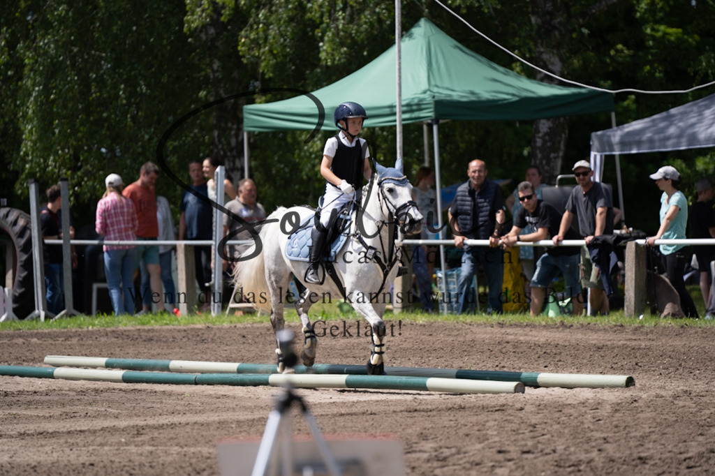 A7V03021 | Pferdefotograf