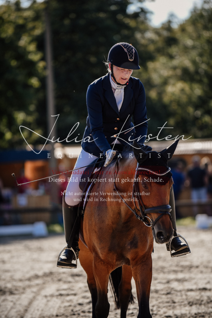DSC_0421 | Pferde- und Turnierfotografie in Westsachsen. Pferdeportraits, Auftragszeichnungen und intuitive Kunst.
