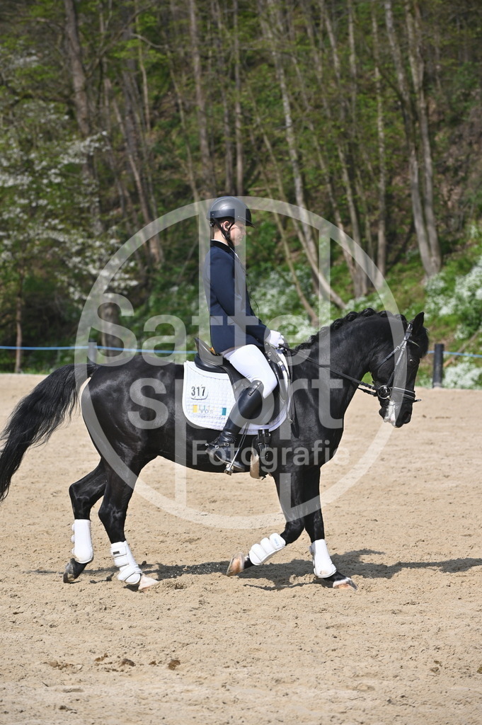 DSC_1049 | sattelsport - Realisiert mit Pictrs.com