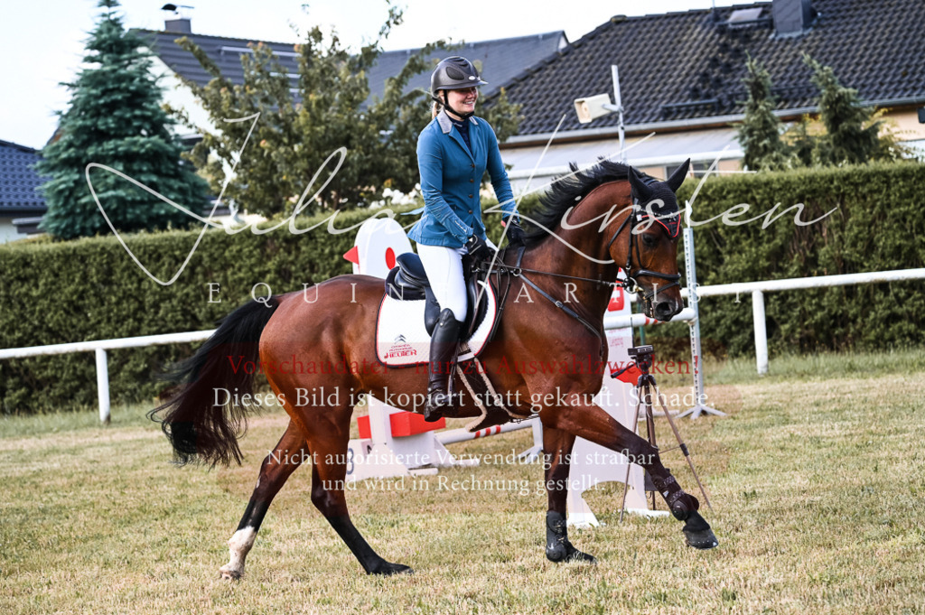 DSC_7661 | Pferde- und Turnierfotografie in Westsachsen. Pferdeportraits, Auftragszeichnungen und intuitive Kunst.