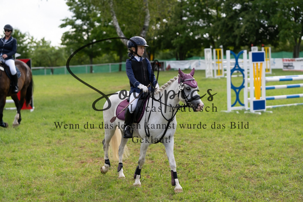 A7V03862 | Pferdefotograf