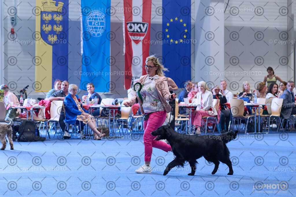 202406_ÖKV-IHA-Tulln24_DSC_4158 | proPHOTO - Realisiert mit Pictrs.com