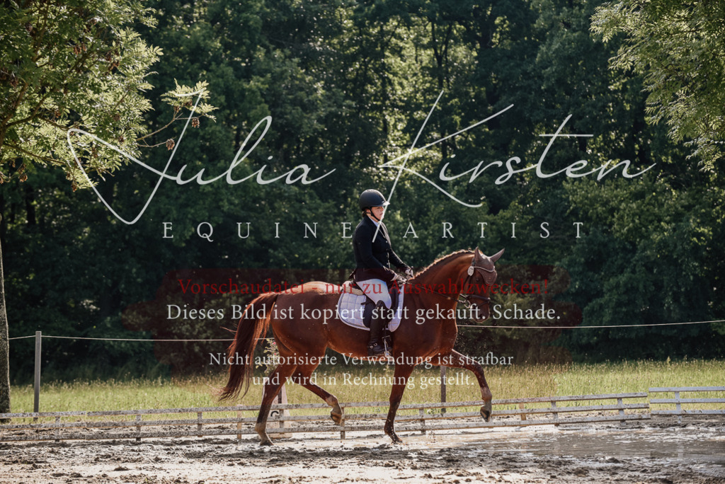 DSC_9294 | Pferde- und Turnierfotografie in Westsachsen. Pferdeportraits, Auftragszeichnungen und intuitive Kunst.