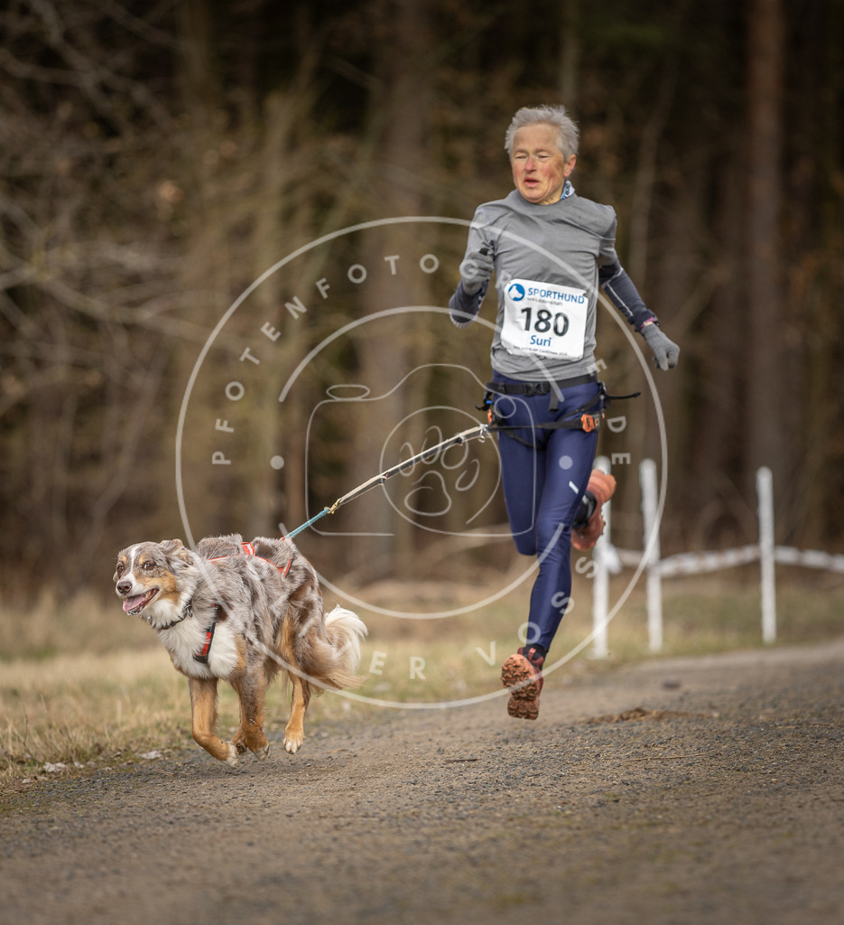 DV3A5384 | Hundefotografie, Tierfotograf, Pfotenfotografie, Fotoshooting Hund, Hunde Portrait, Hundesport, Hundeportraits, Heideshooting, Hunde, Sportfotograf, Hundefotograf, Turnierhundsport, THS,  - Realisiert mit Pictrs.com
