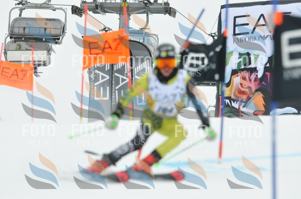 DSC_8706 | holidayphoto