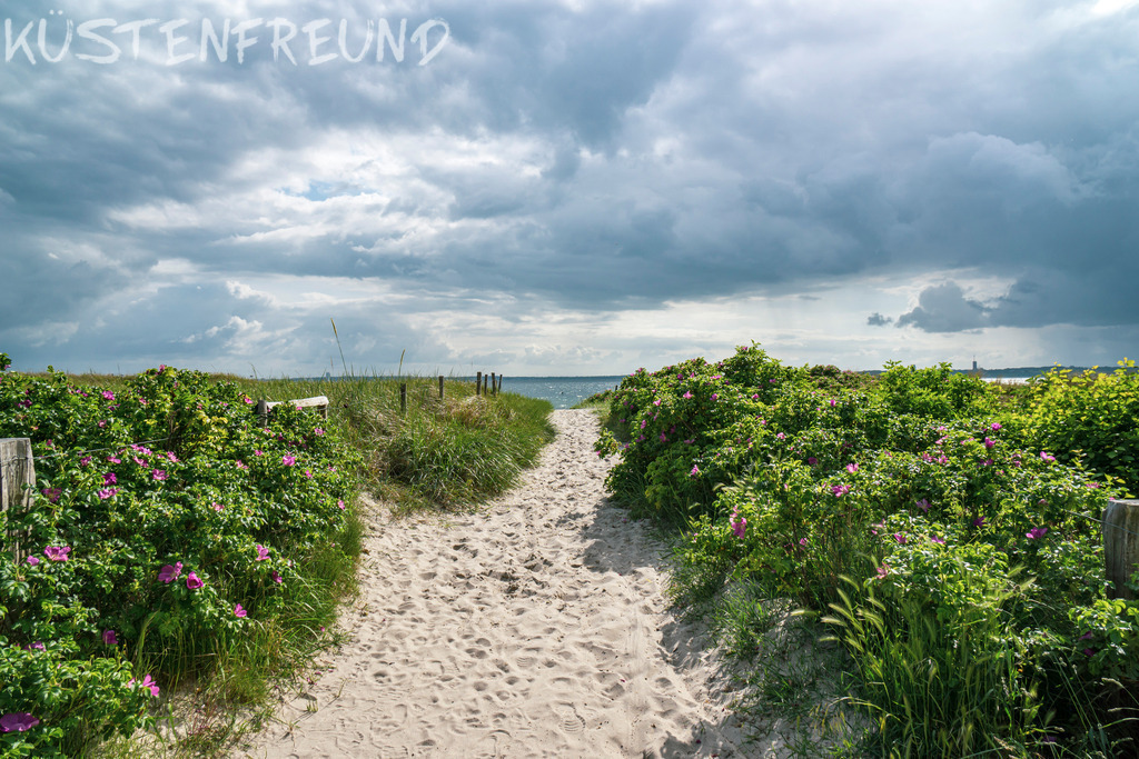 Ostsee Dünenweg Pelzerhaken | Entdecke deine Lieblingslandschaft von der Küste – auf Ostsee Leinwand, Nordsee Leinwand, Alu Dibond oder Acrylglas, passend für jeden Geschmack und Raum.