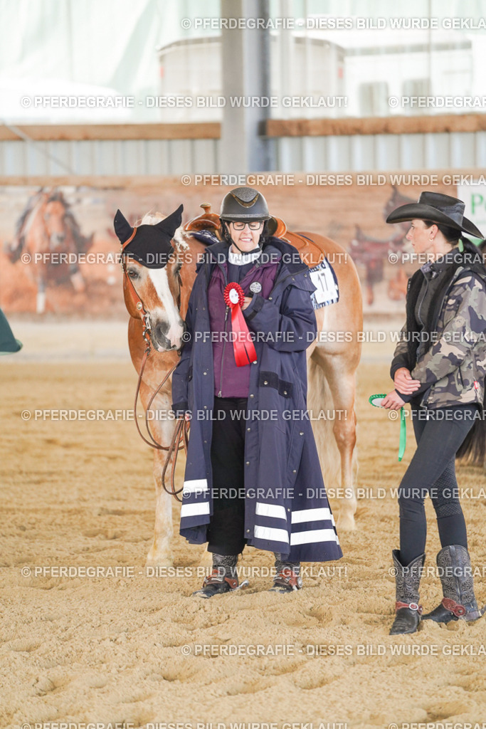 DSC09896 | Pferdegrafie