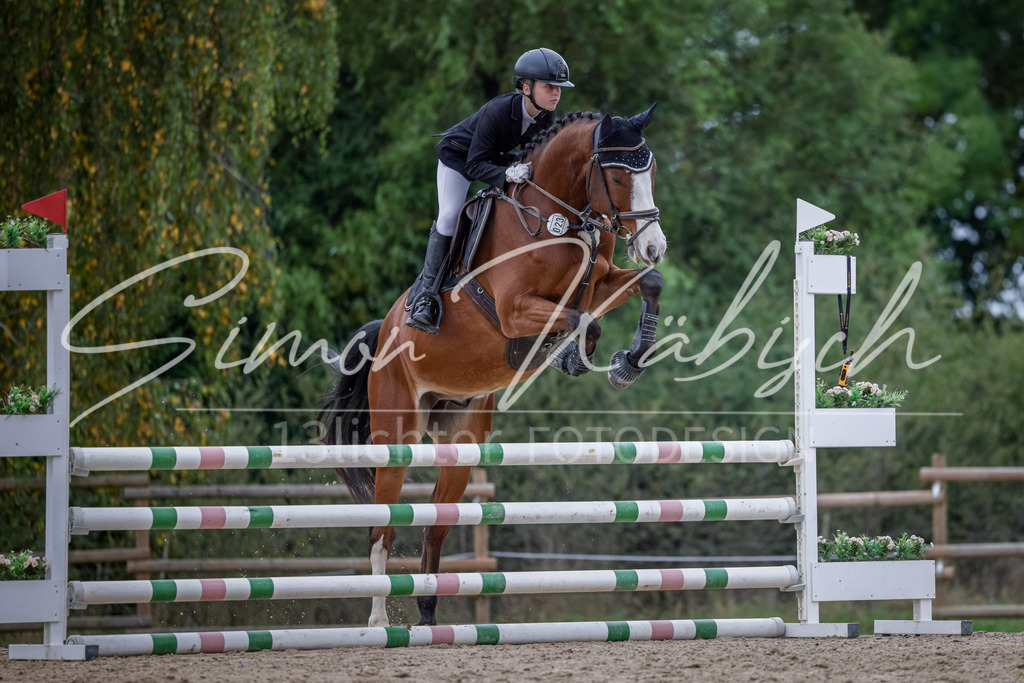 20251012-_3LI3929 | Tierfotografie Pferde, Hunde, Katzen, Haustiere.
Turnierfotografie Reitturniere, Reiten, Springreiten, Dressur in Hanau, dem Main-Kinzig-Kreis und dem Rhein-Main- Gebiet um Frankfurt