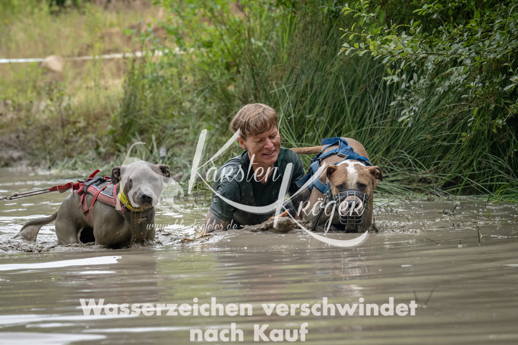 1346_ZZ92548 | kk-dogfotos