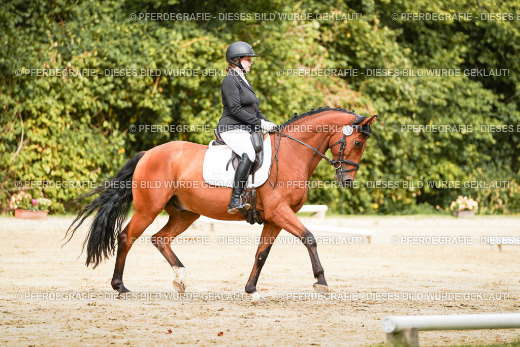 DSC01875 | Pferdegrafie