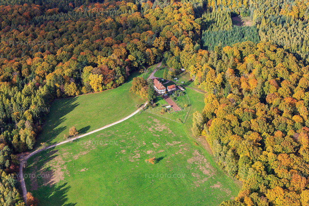 Aerial view: Forester's lodge in a forest clearing in the district Windstein in Windstein in the state Bas-Rhin, France.Photo: IMG_084617.jpg taken on 10/23/2015 by Werner Riehm/FLY-FOTO.comResolution of the original: 5472 x 3648 px