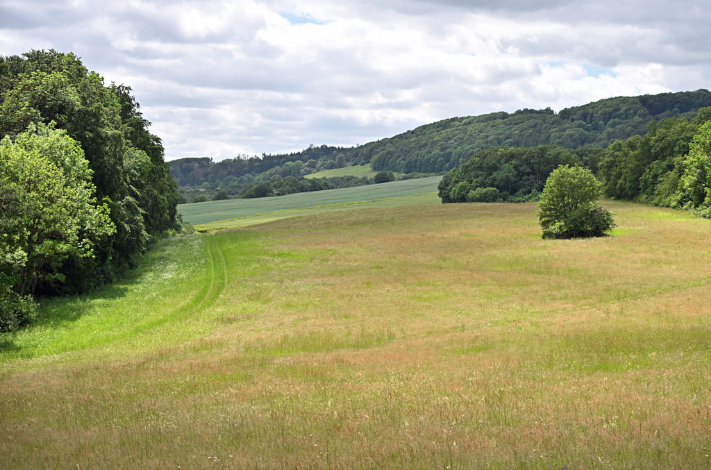 LandschaftTräbes01 | lucisnaturbilder - Realisiert mit Pictrs.com