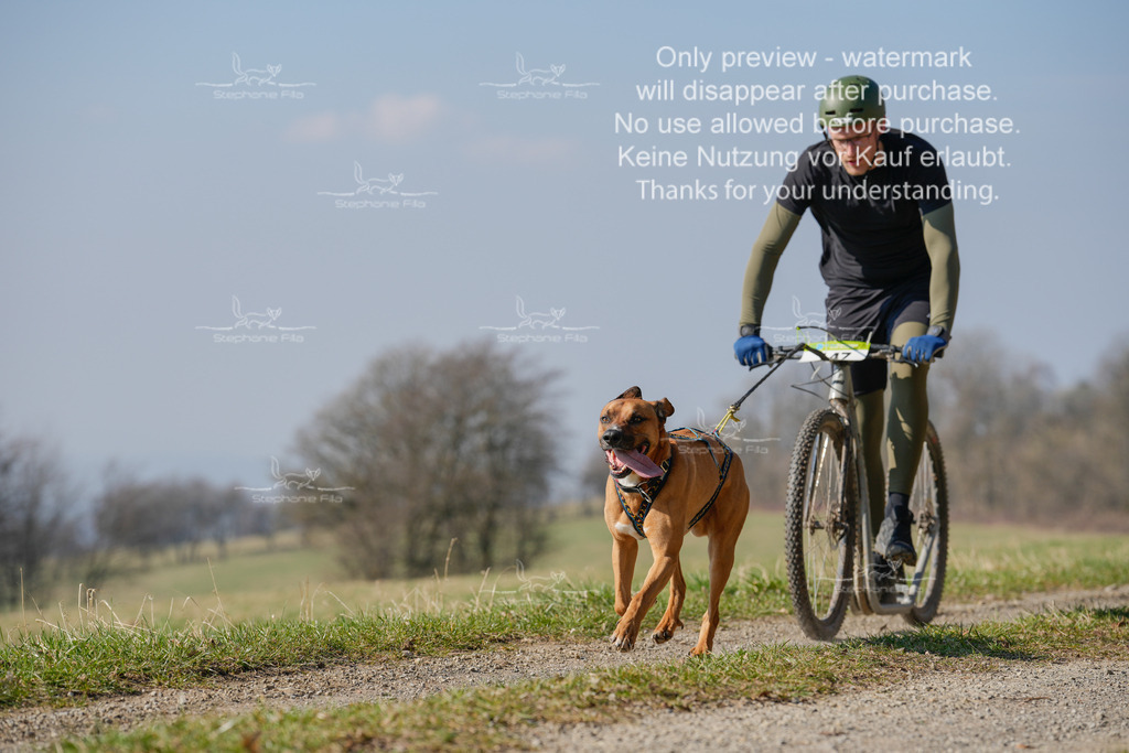 Scooter_Lang-44 | stephaniefillaphotographie - Realisiert mit Pictrs.com