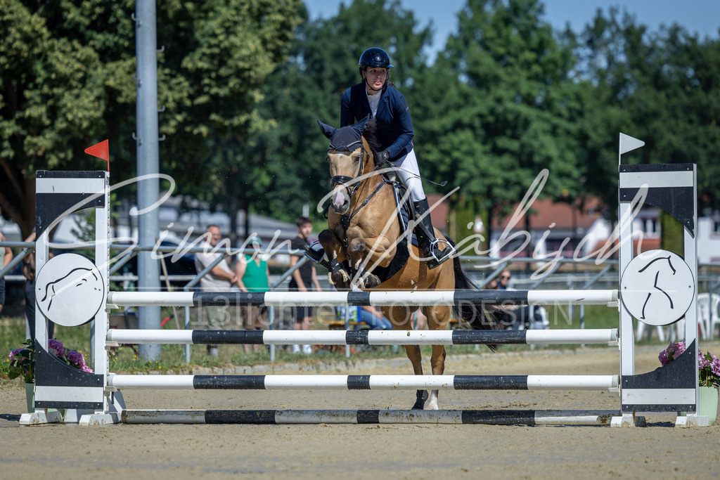 20260704-_3LI7470 | Tierfotografie Pferde, Hunde, Katzen, Haustiere.
Turnierfotografie Reitturniere, Reiten, Springreiten, Dressur in Hanau, dem Main-Kinzig-Kreis und dem Rhein-Main- Gebiet um Frankfurt